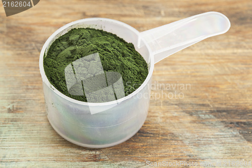 Image of Hawaiian spirulina powder