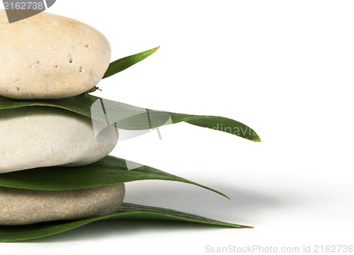 Image of Stacked stones on base of green leafs