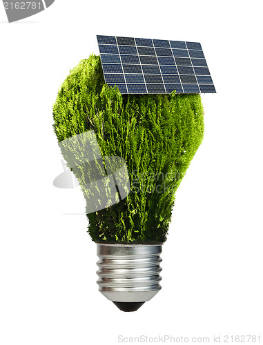 Image of Lamp made ??of green plants. Ecology conception