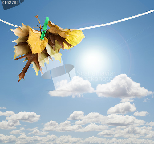 Image of Autumn leaves on a rope