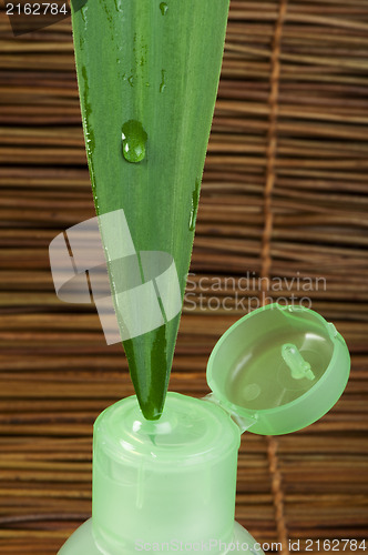 Image of Green cosmetic bottle and leaf