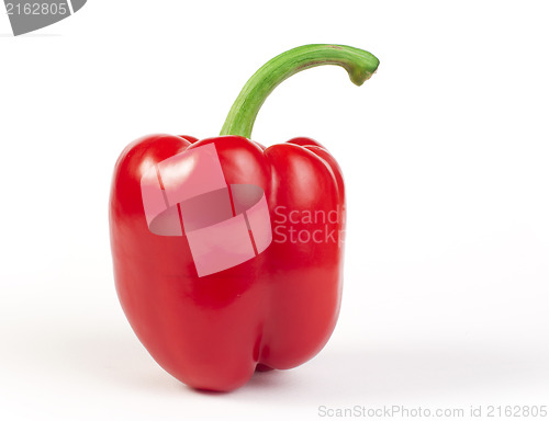 Image of Paprika