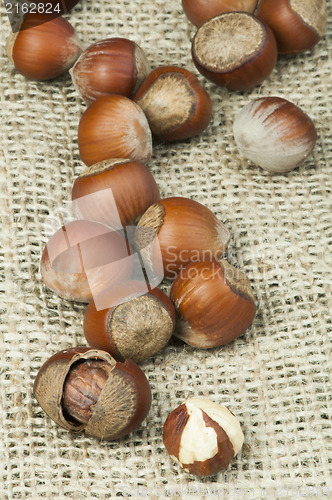 Image of Closeup raw hazelnuts on burlap