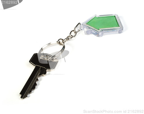 Image of Keychain with figure of green house