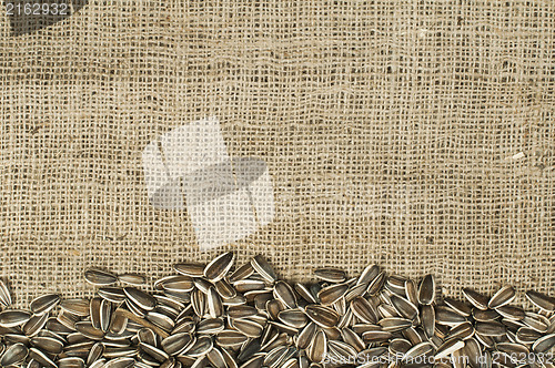 Image of Closeup raw sunflower seeds on burlap