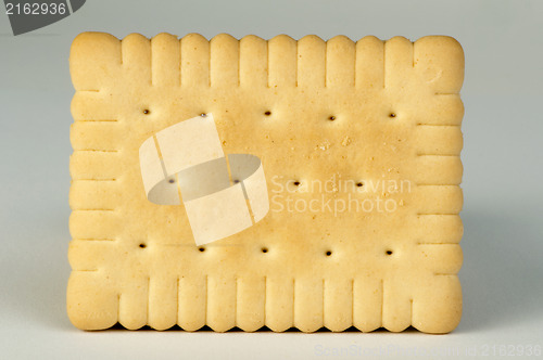 Image of Biscuit close up