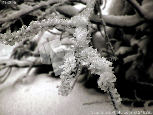 Image of Ice crystals