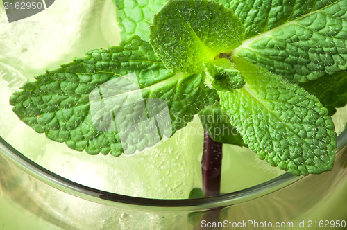 Image of Green cocktail with cubes ice