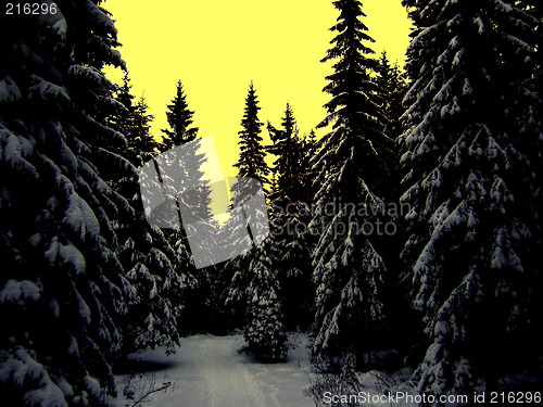 Image of Winter landscape