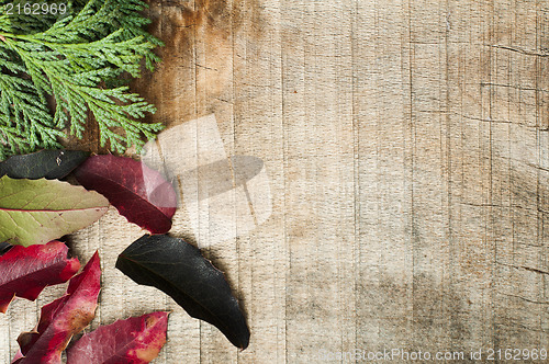 Image of Wood and fir branches background