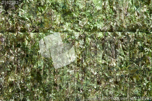 Image of Green algae nori