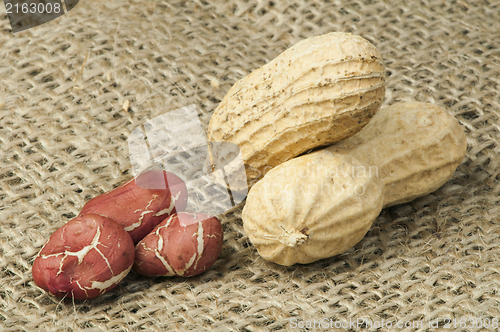 Image of Closeup Peanuts on burlap