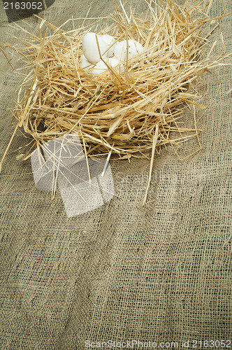 Image of Organic domestic white eggs in straw nest