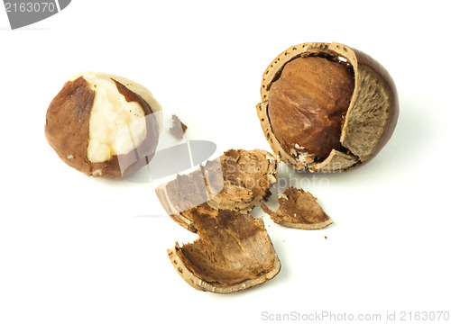 Image of Closeup raw hazelnuts white isolated