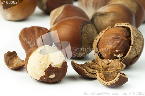 Image of Closeup raw hazelnuts white isolated