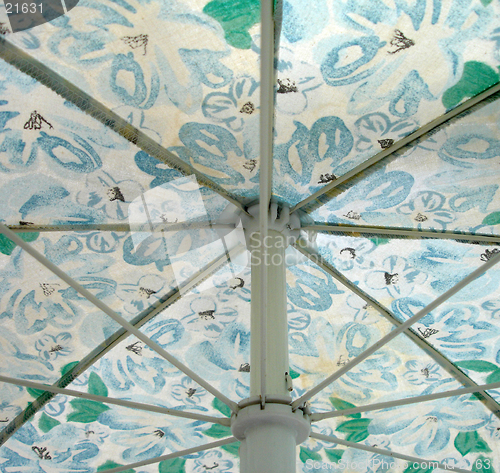 Image of An open umbrella