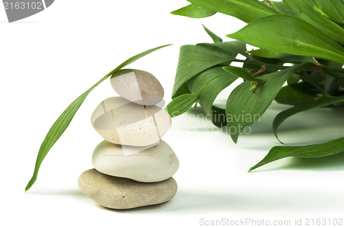 Image of Stacked stones and green leafs