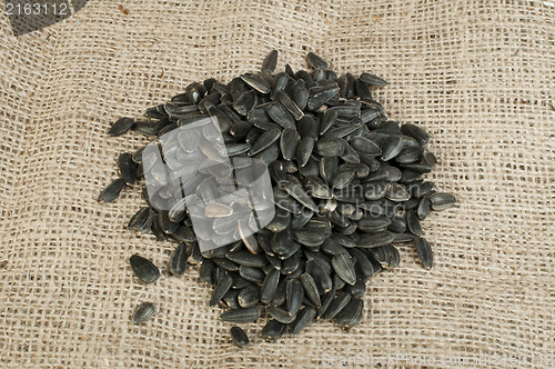 Image of Sunflower seed