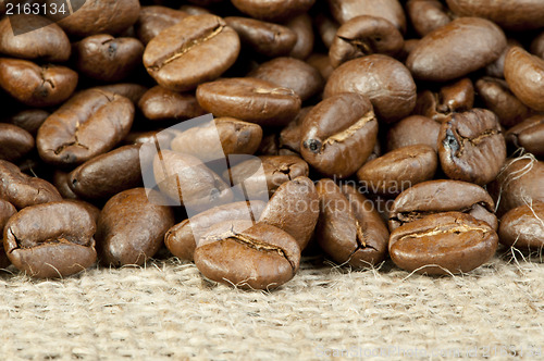 Image of Coffee beans