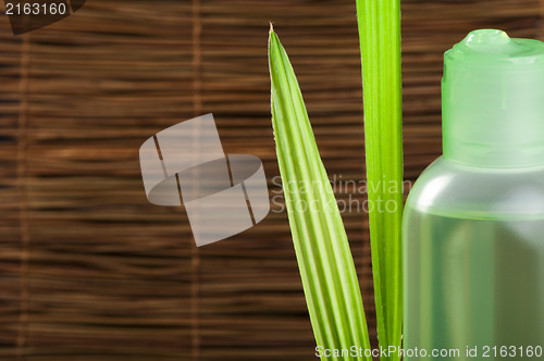 Image of Green cosmetic bottle and leaf