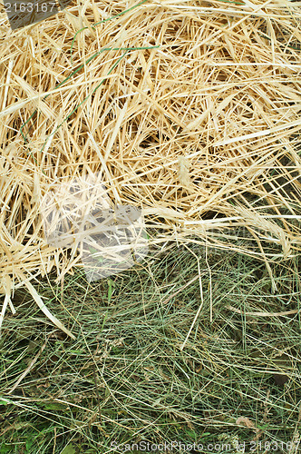 Image of Straw and hay close up background