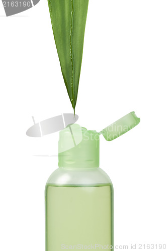 Image of Green cosmetic bottle and leaf