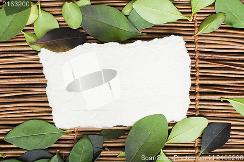 Image of Wooden background and leafs