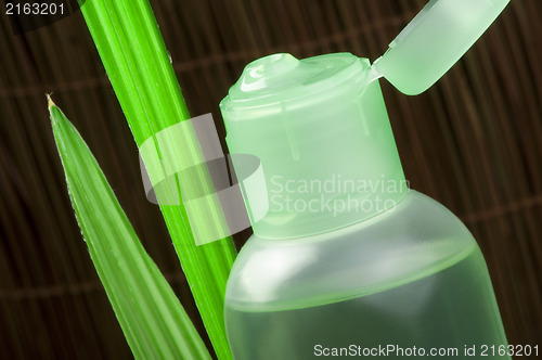 Image of Green cosmetic bottle and leaf