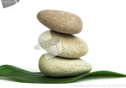 Image of Stacked stones on base of green leafs