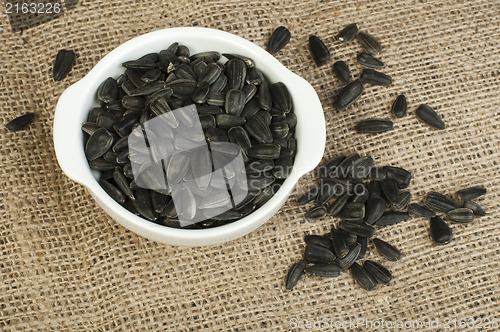 Image of Sunflower seed