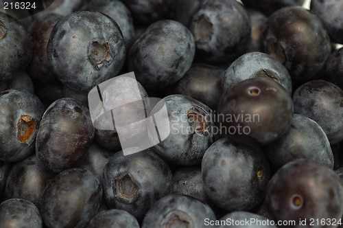 Image of Blueberries