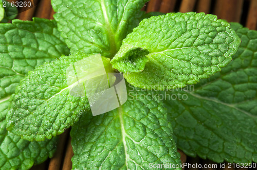 Image of Mint leaves on wooden base