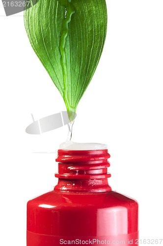 Image of Green leaf and drop over a tube of cosmetics