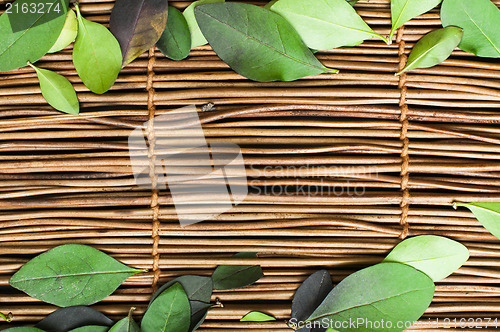 Image of Wooden background and leafs
