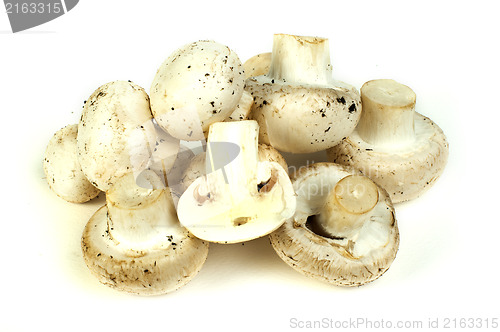 Image of Mushrooms