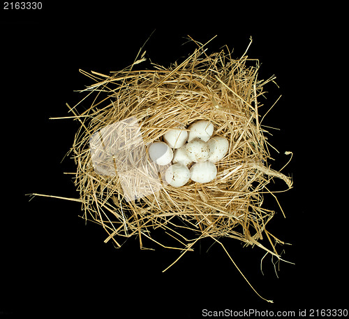 Image of Organic white eggs in straw nest