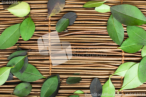 Image of Wooden background and leafs