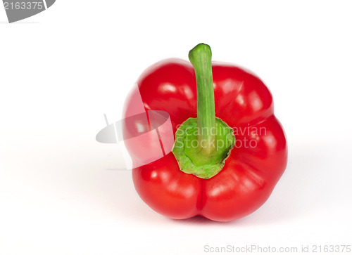 Image of Paprika