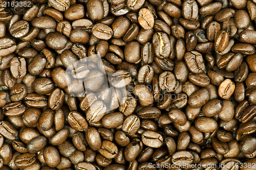 Image of Coffee beans