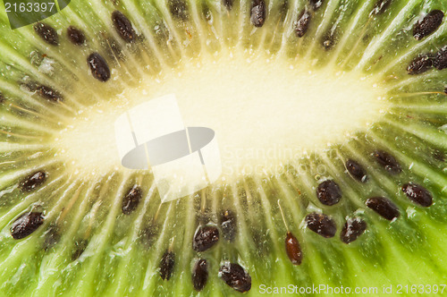 Image of Kiwi fruit close up background