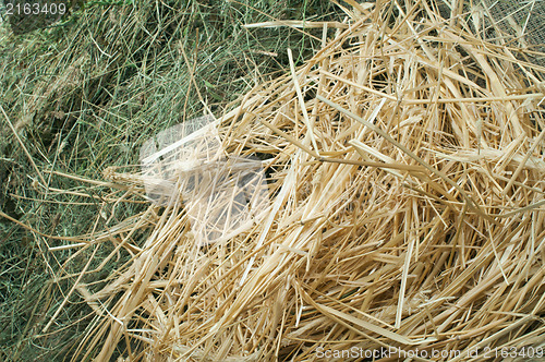 Image of Straw and hay close up background