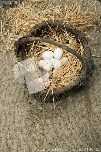 Image of Organic white domestic eggs in vintage basket