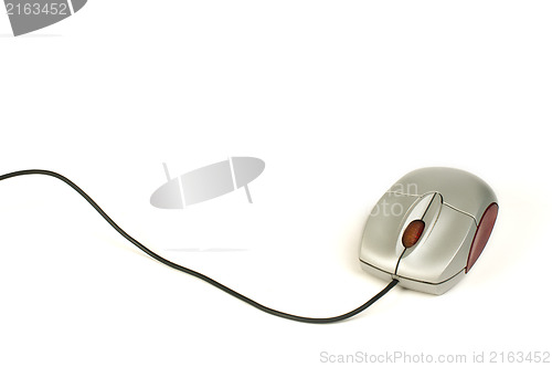 Image of Small computer mouse