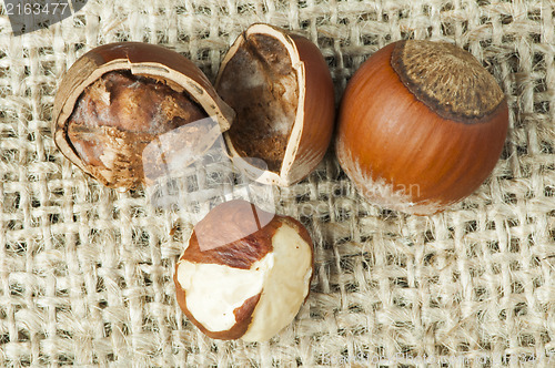 Image of Closeup raw hazelnuts on burlap