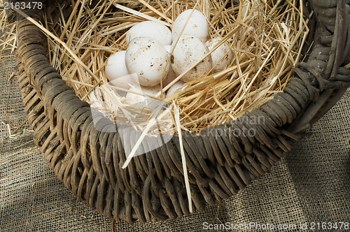 Image of Organic white domestic eggs in vintage basket