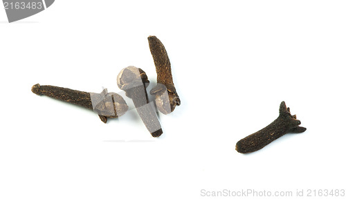 Image of Pieces clove spice