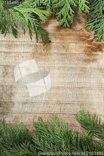 Image of Wood and fir branches background