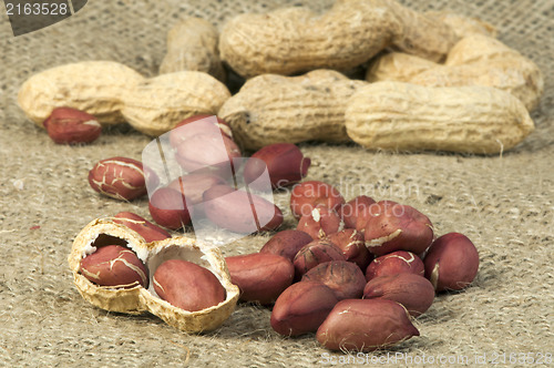 Image of Closeup Peanuts on burlap