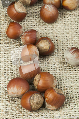 Image of Closeup raw hazelnuts on burlap