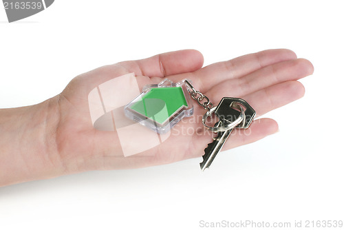 Image of Keychain with figure of green house